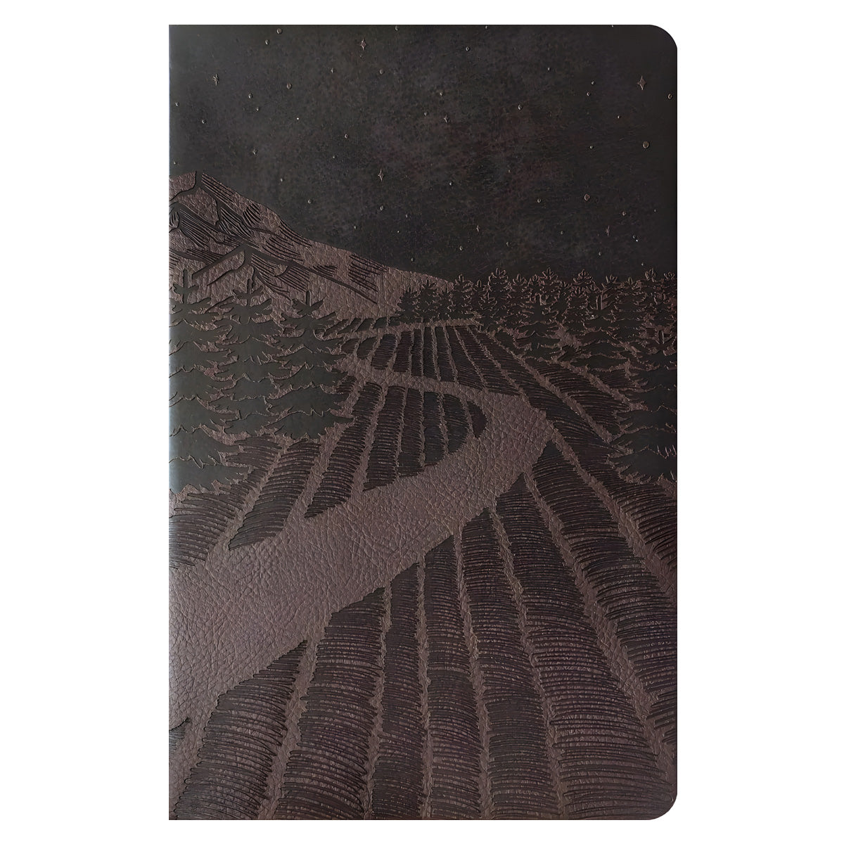 NLT Starlight Path Brown Imitation Leather Filament Premium Gift Bible