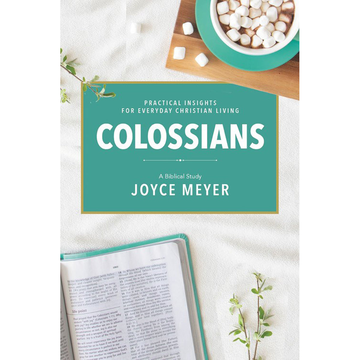 Colossians: A Biblical Study (Paperback)