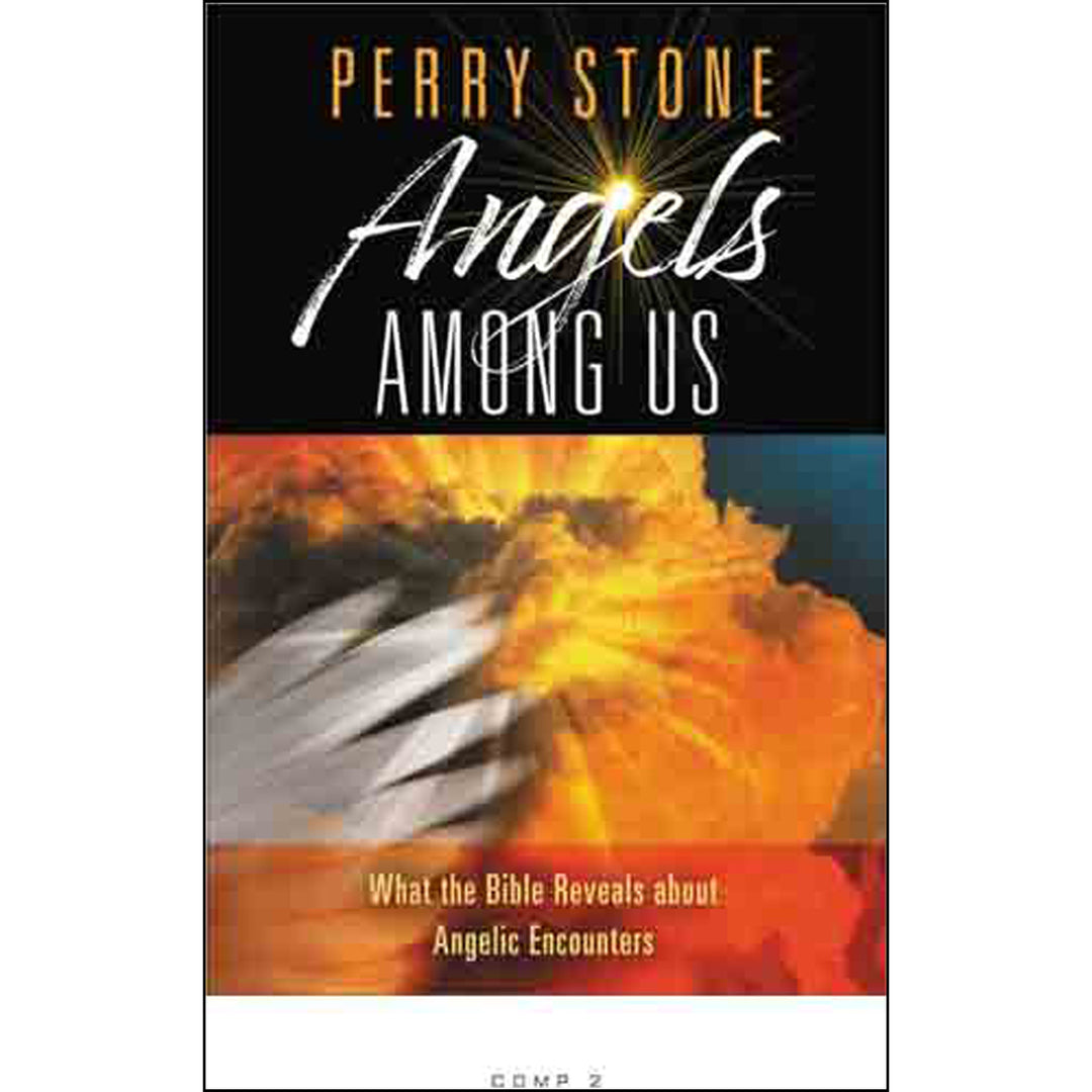 Angels Among Us: What The Bible Reveals About Angelic Encounters (Hardcover)