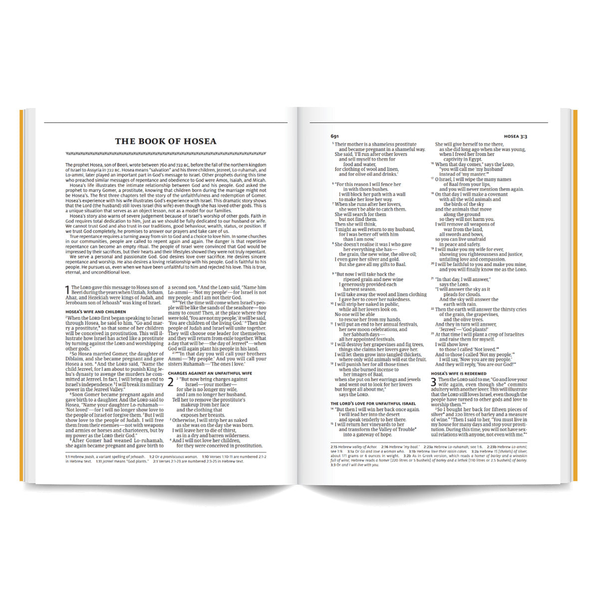 NLT Hardcover Africa Edition Bible