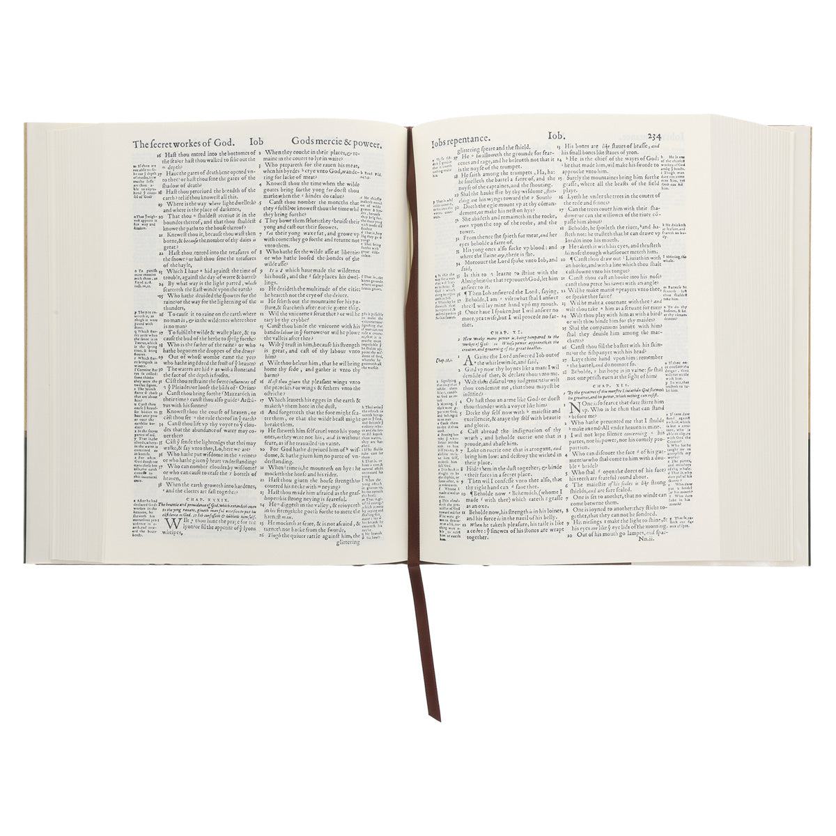 The Geneva Bible: The Bible of the Protestant Reformation 1560