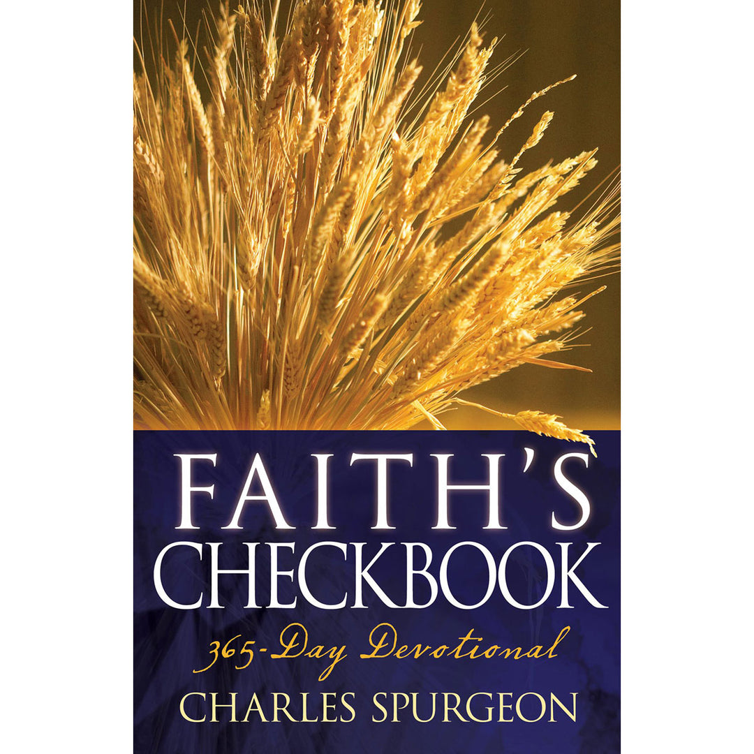 Faiths Checkbook (Paperback)