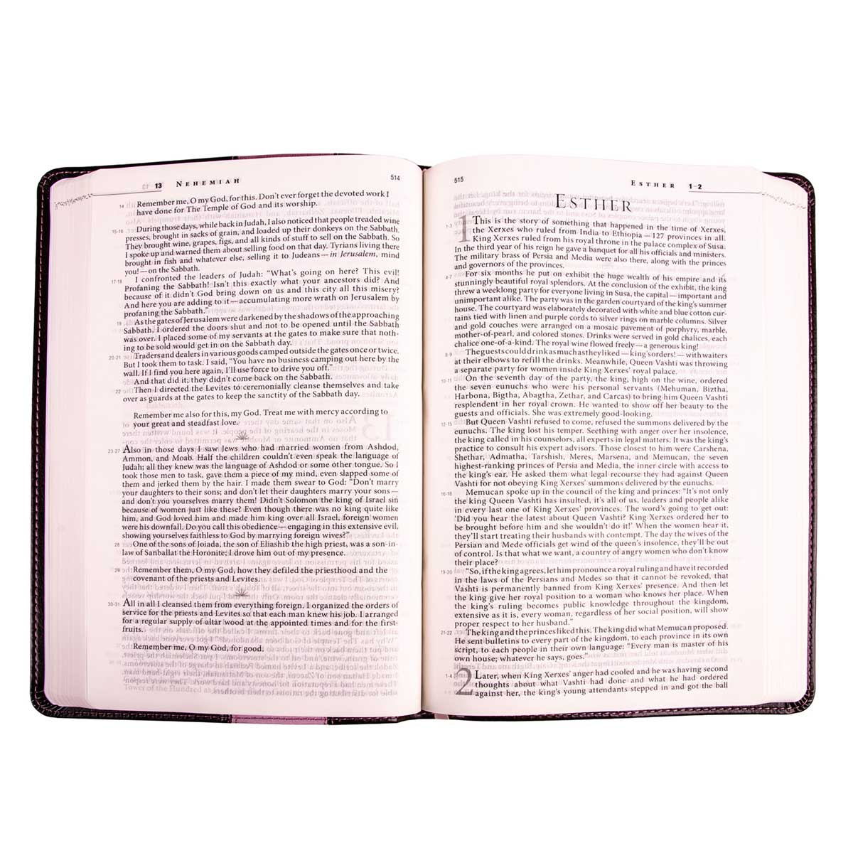 The Message Brown & Pink Two Tone Imitation Leather Slimline Edition Bible