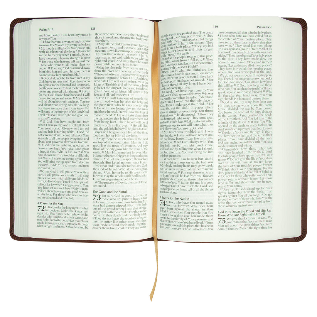 NLV Holy Bible Brown (Imitation Leather)