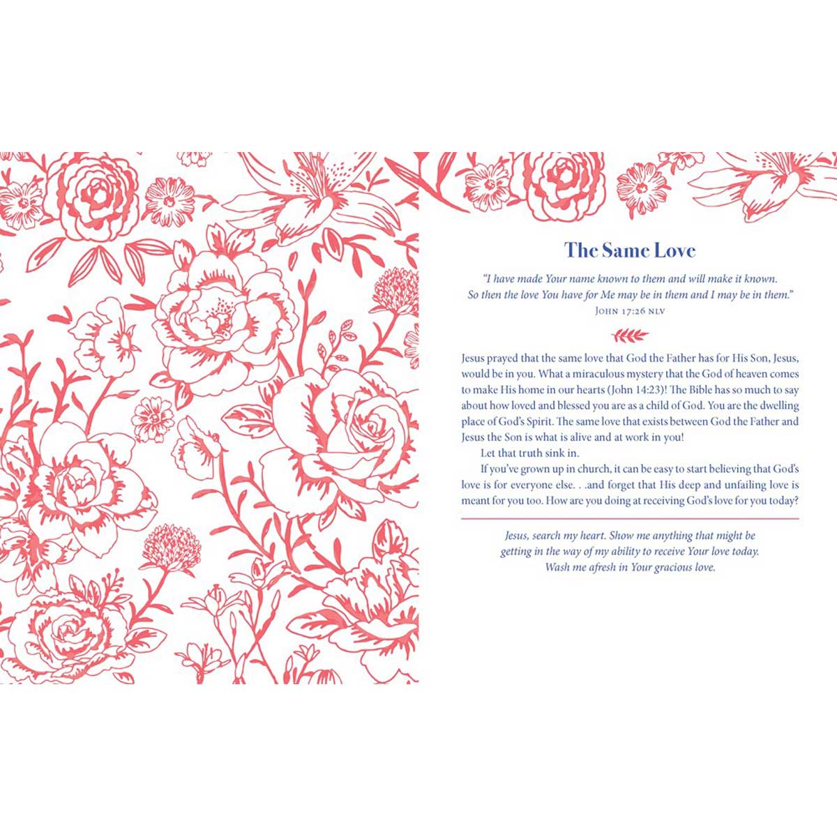 Devotional Minutes To Bless Your Heart: 180 Meditations For Women (PB)