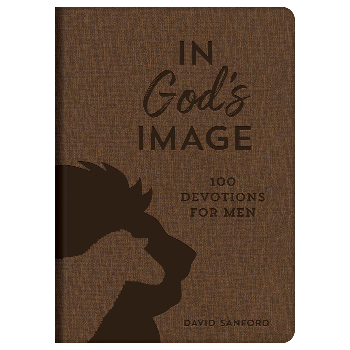 In God's Image: 100 Devotions For Men (Imitation Leather)