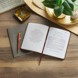 Amazing Grace: God's Love to Rescue and to Restore - 366 Devotions (Faux Leather)