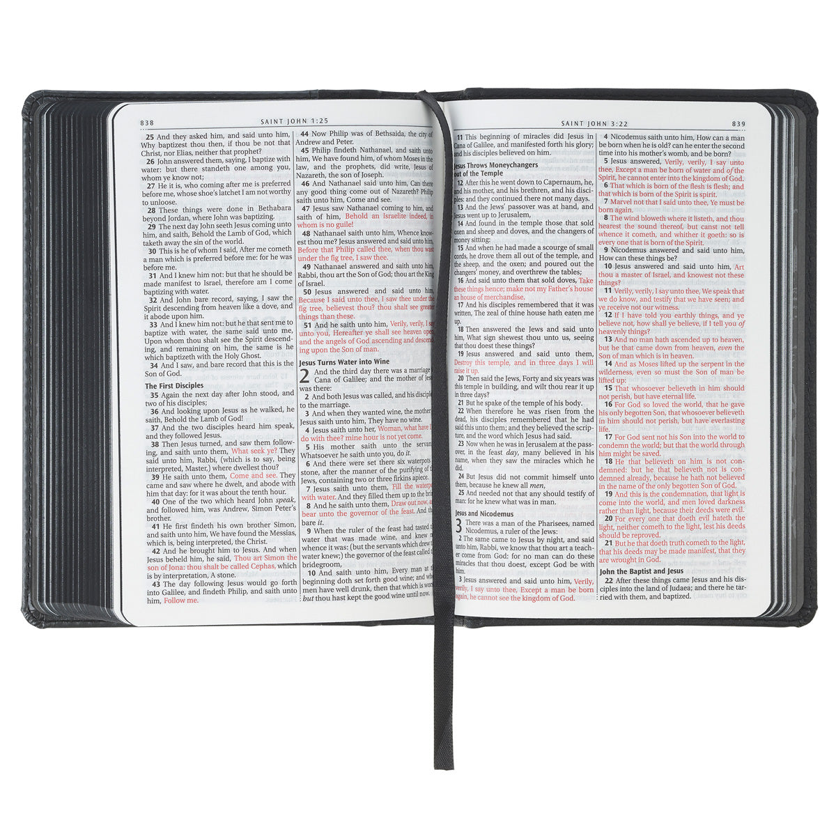KJV Grey Lion Faux Leather Compact Bible
