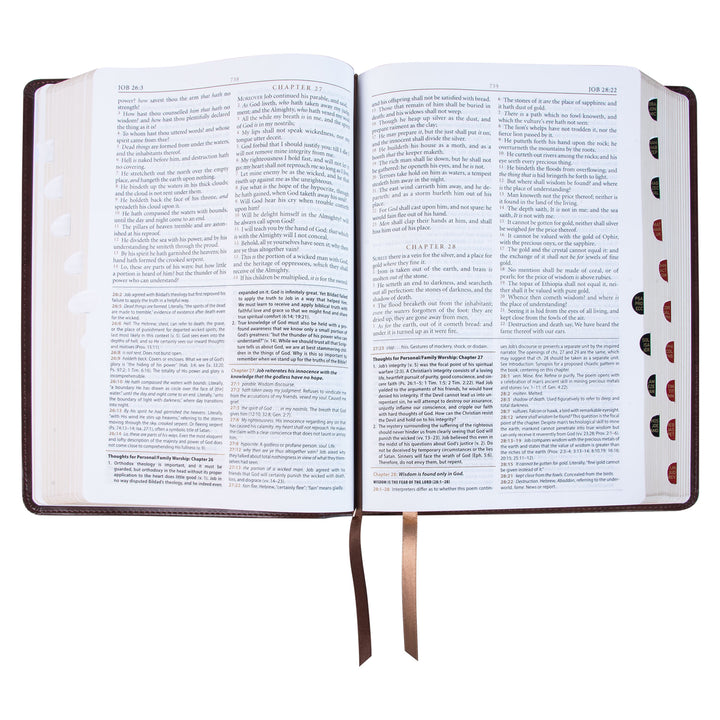 KJV Dark Brown Faux Leather Flexcover Study Bible