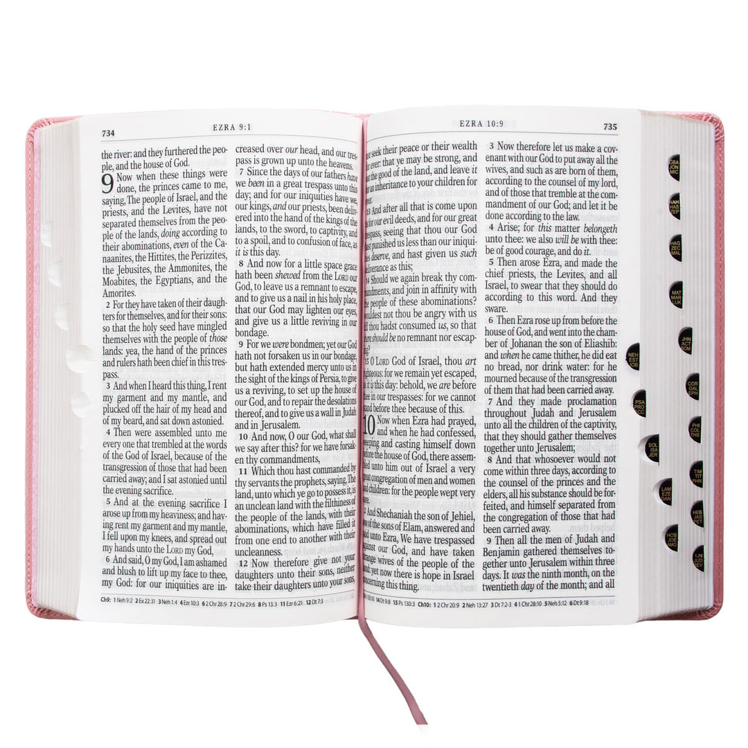 KJV Pink Faux Leather Bible Giant Print