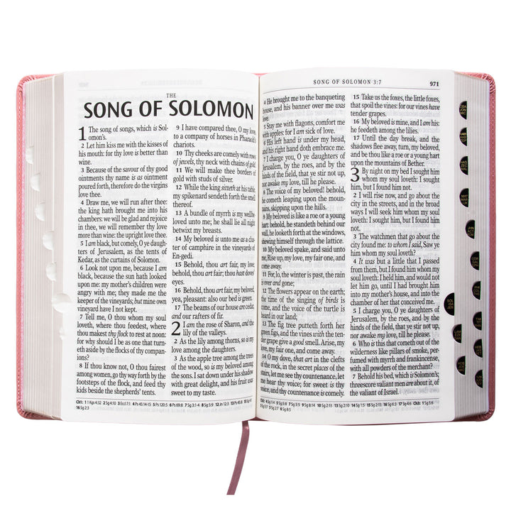 KJV Pink Faux Leather Bible Giant Print