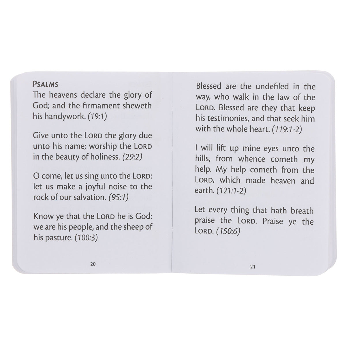 My Little Bible Cream (Paperback)