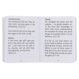My Little Bible Cream (Paperback)