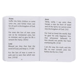 My Little Bible Cream (Paperback)