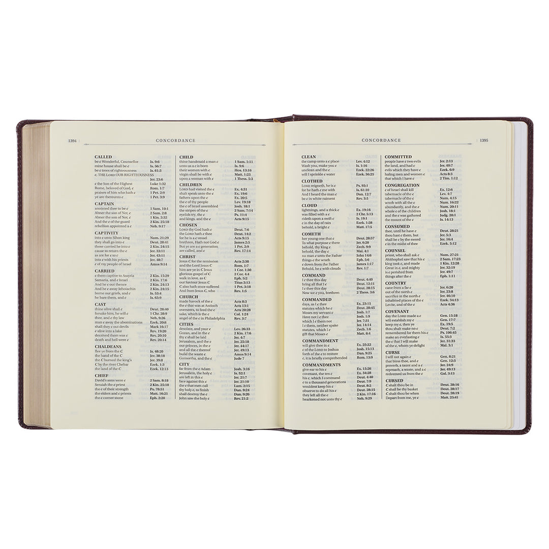 KJV Brown Faux Leather The Note-Taking Bible Large Print