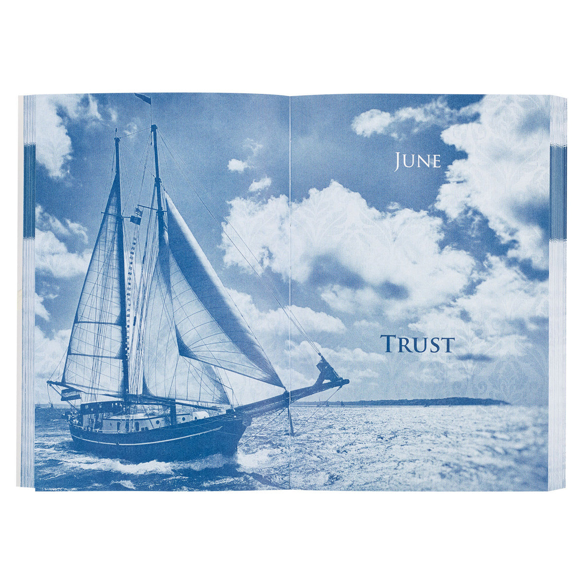 A Shelter From The Storm: 366 Devotions (Paperback)