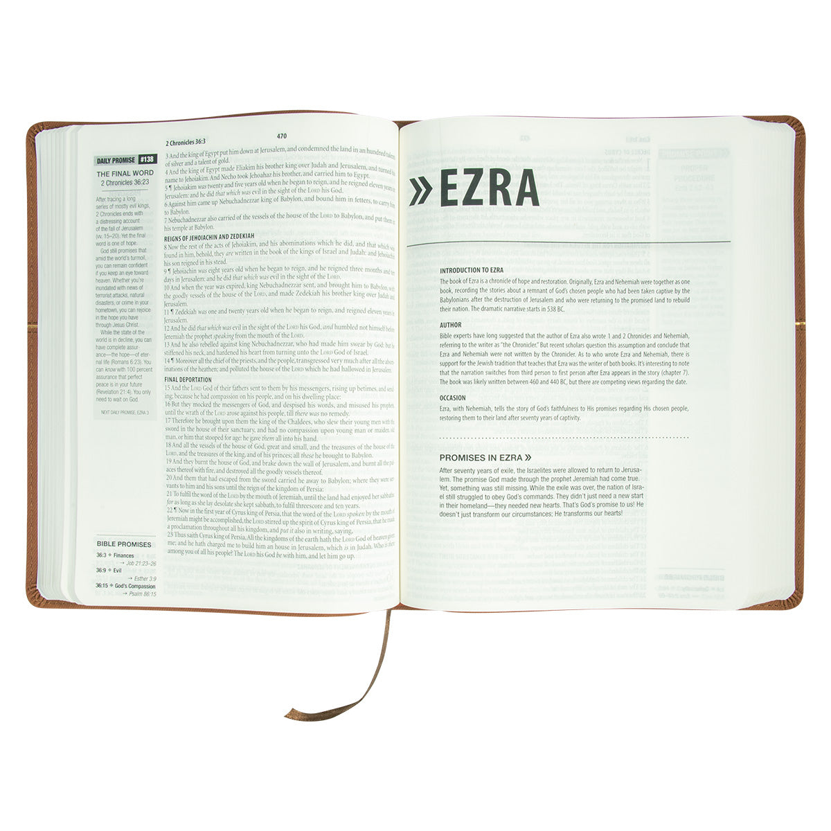 KJV Bible Promise Book Hickory Diamond Brown (Imitation Leather)