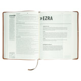 KJV Bible Promise Book Hickory Diamond Brown (Imitation Leather)