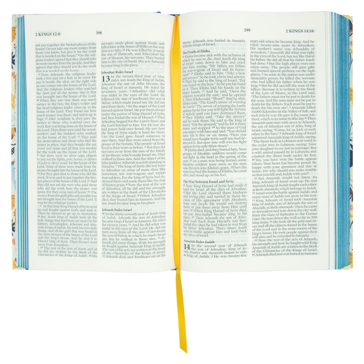 NLV Beautiful Wisdom Bible Teal Butterfly (Beautiful Wisdom)(Hardcover)