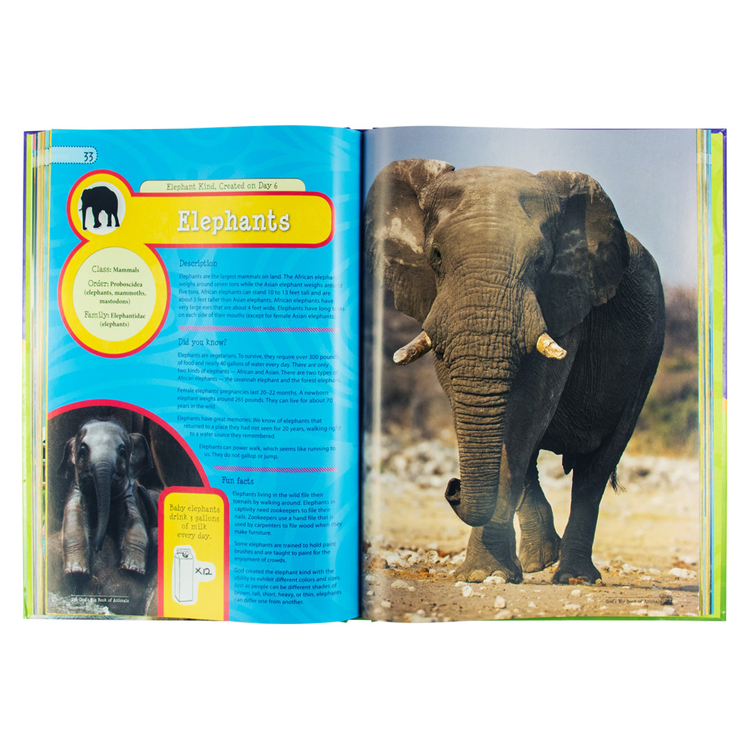 God's Big Book Of Animals (Hardcover)