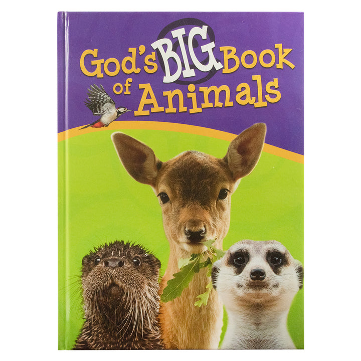 God's Big Book Of Animals (Hardcover)