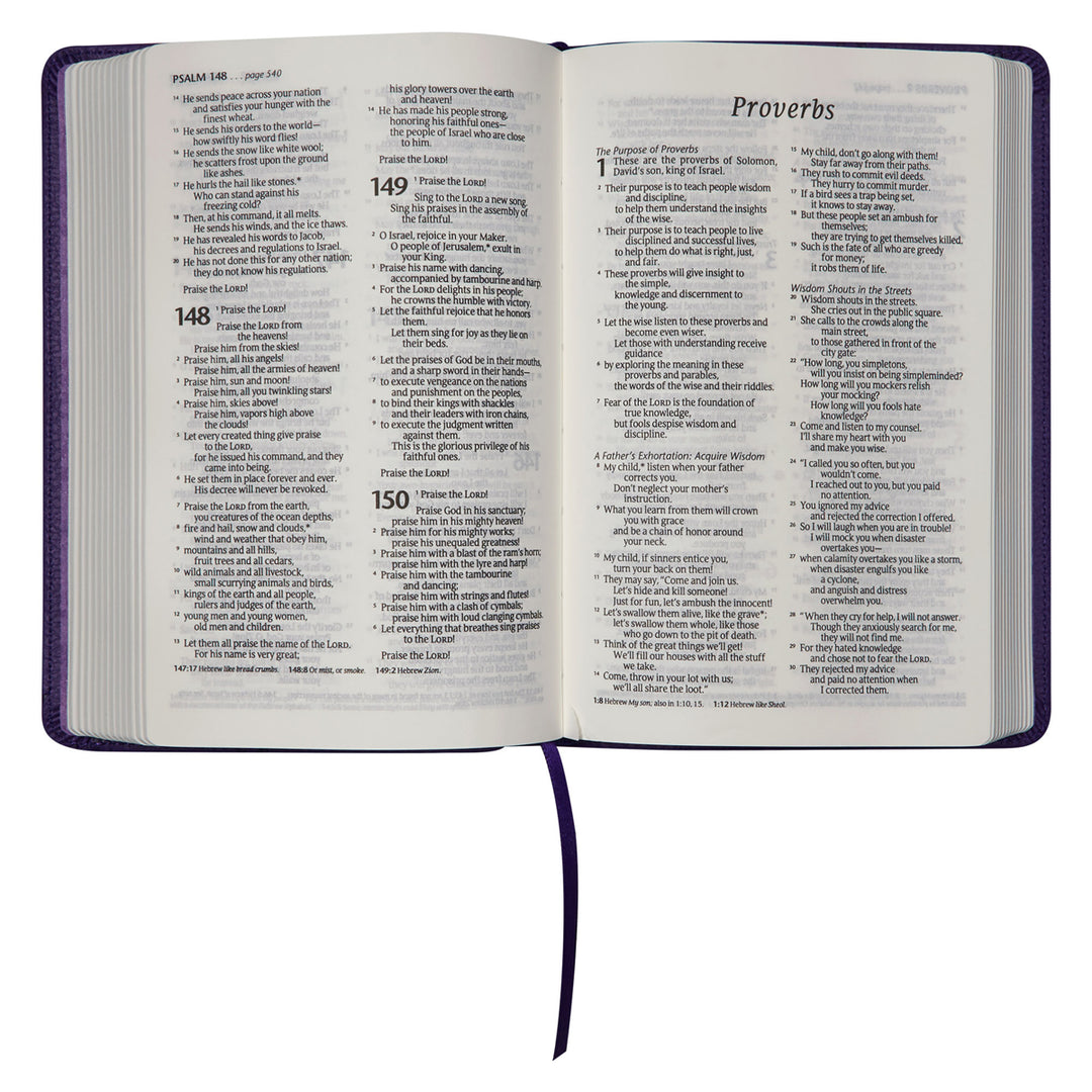 NLT Purple Faux Leather Flexcover Compact Bible