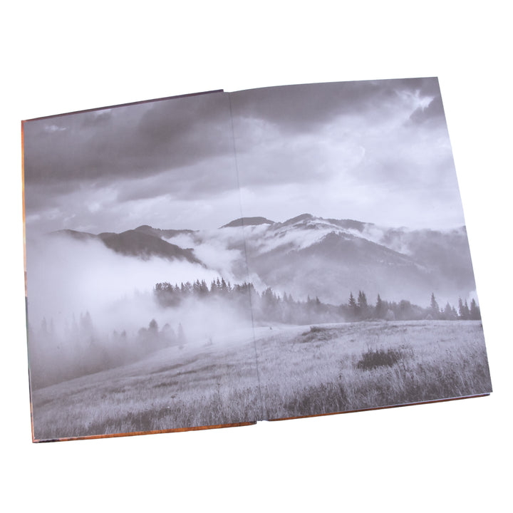 Stand Firm In The Faith (Quarter-Bound Hardcover Journal)