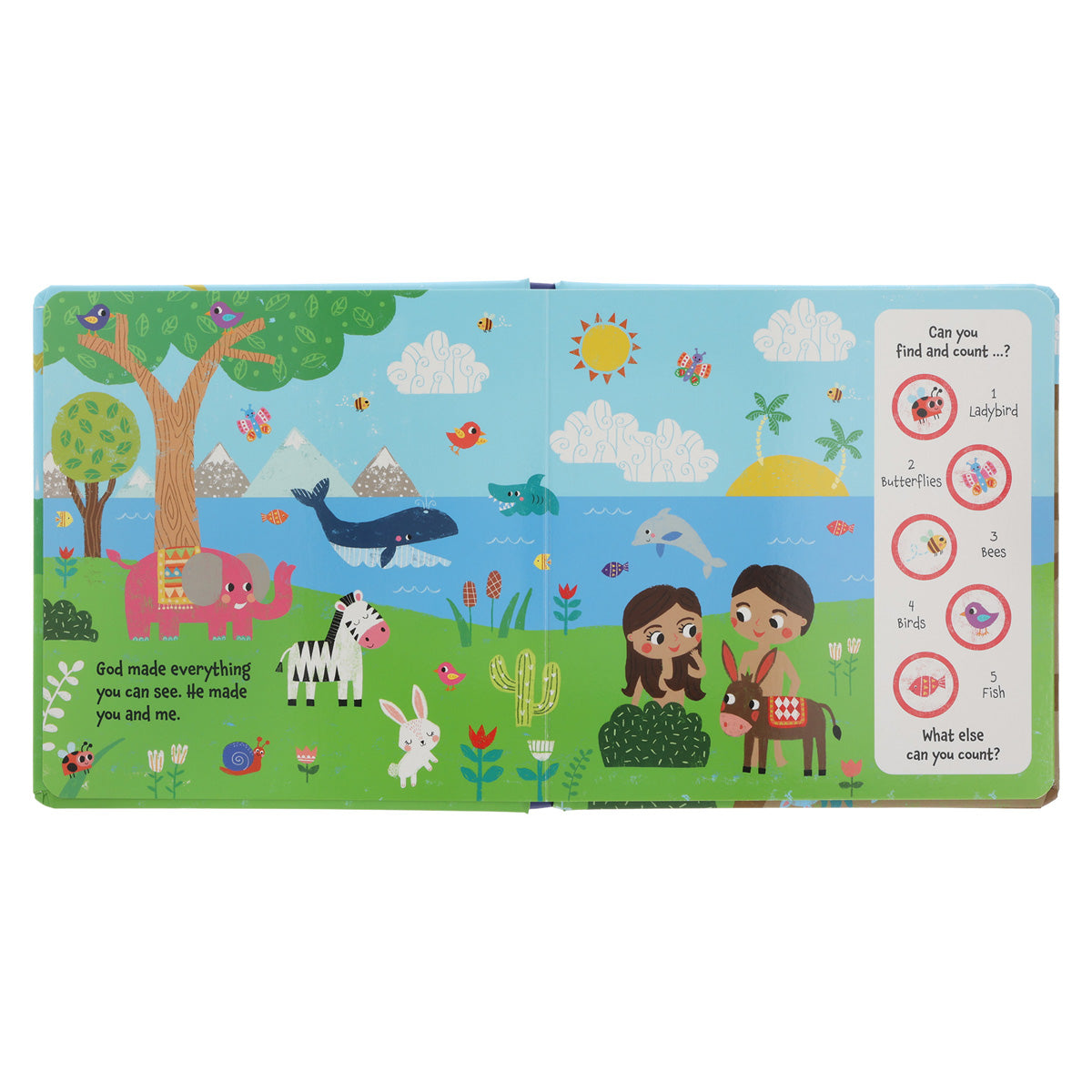 Look-a-Little-Closer Bible Stories (BoardBook)