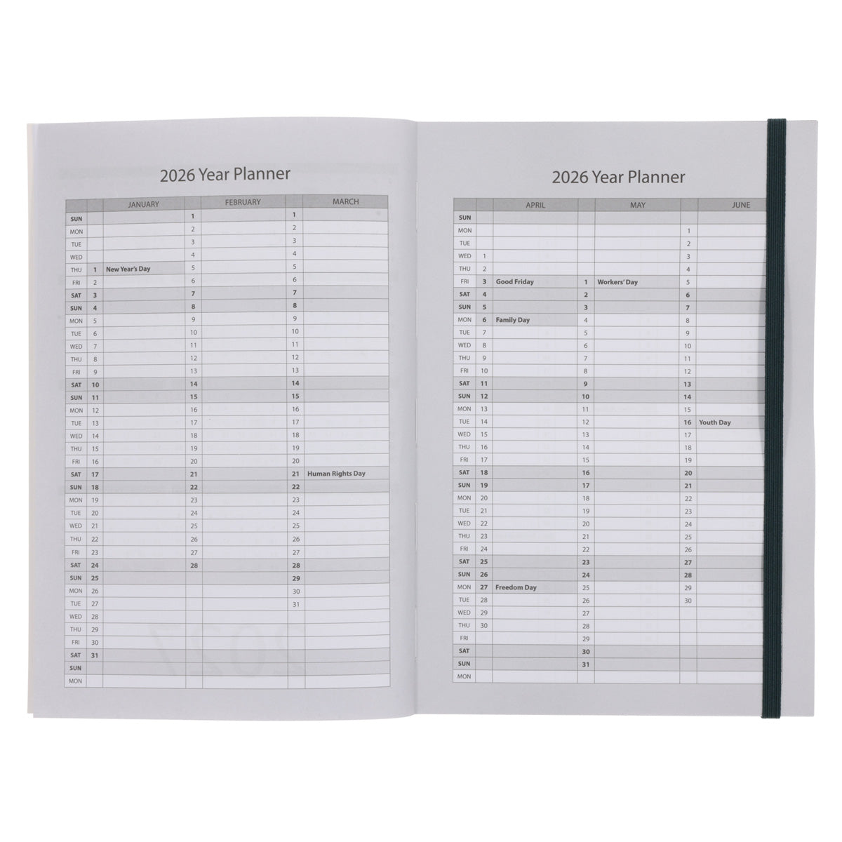 2026 A5 Diary - Daily Planner - Lion - Paperback