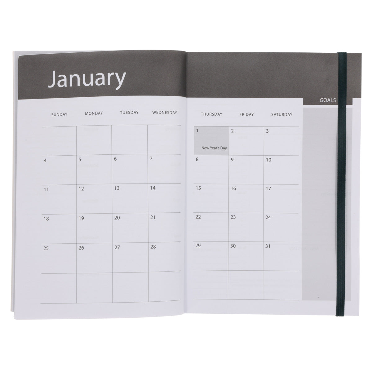 2026 A5 Diary - Daily Planner - Lion - Paperback