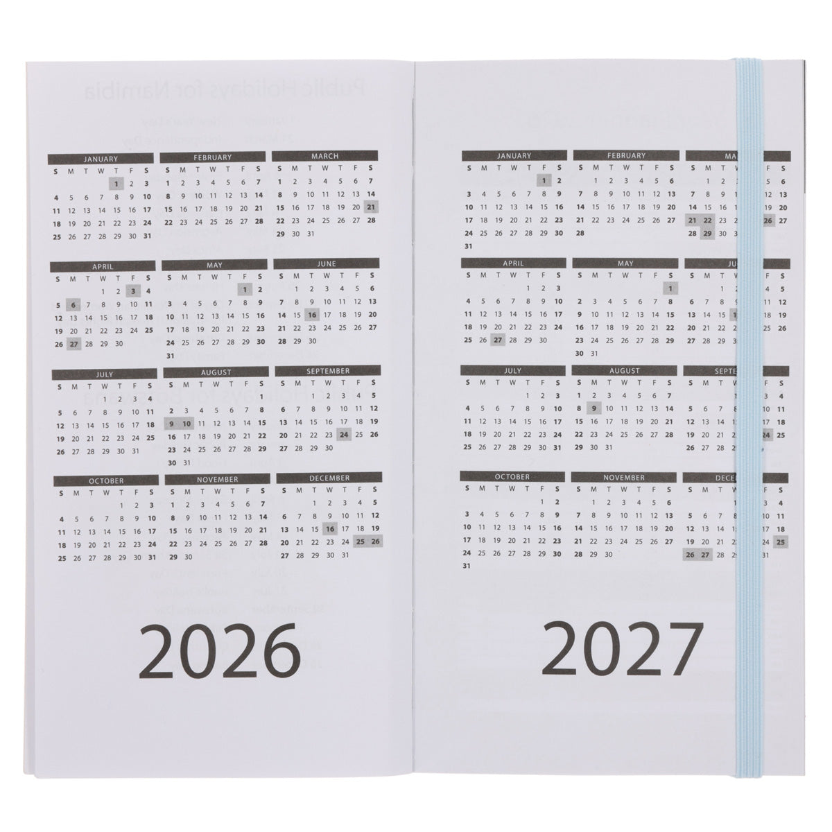 2026 Pocket Diary - Daily Planner - Bright Pattern - Paperback