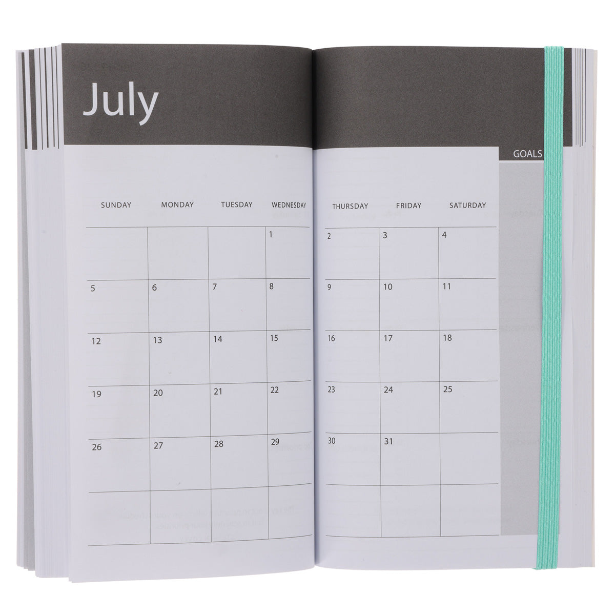 2026 Pocket Diary - Daily Planner - Black and Green - Paperback
