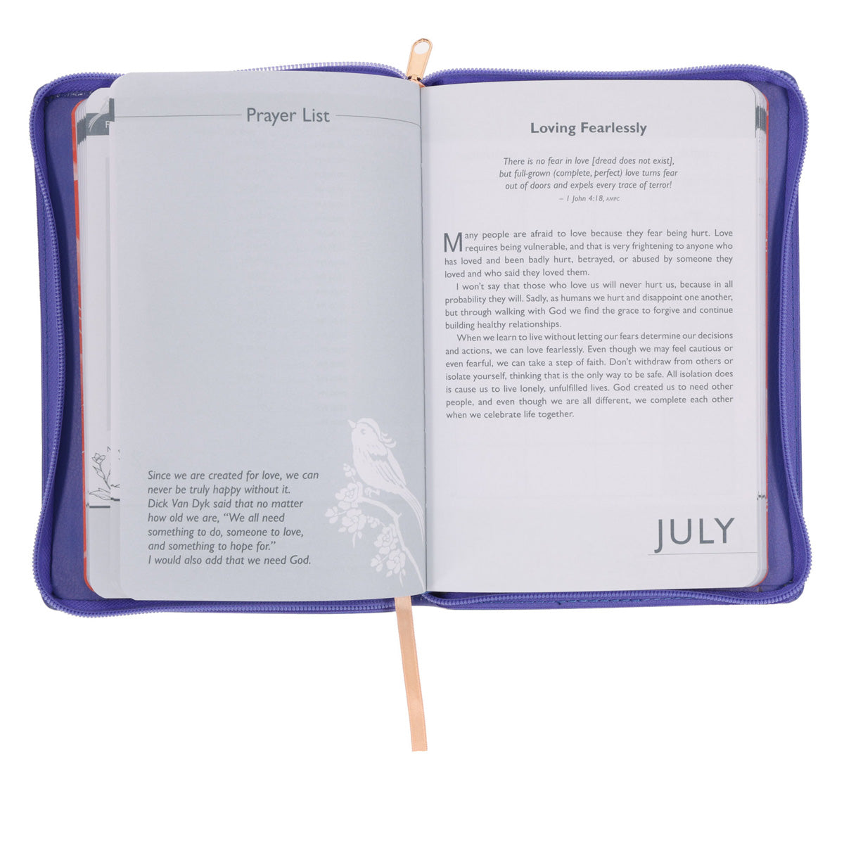 2026 Joyce Meyer A5 Diary - Daily Planner - Imitation Leather with Zip