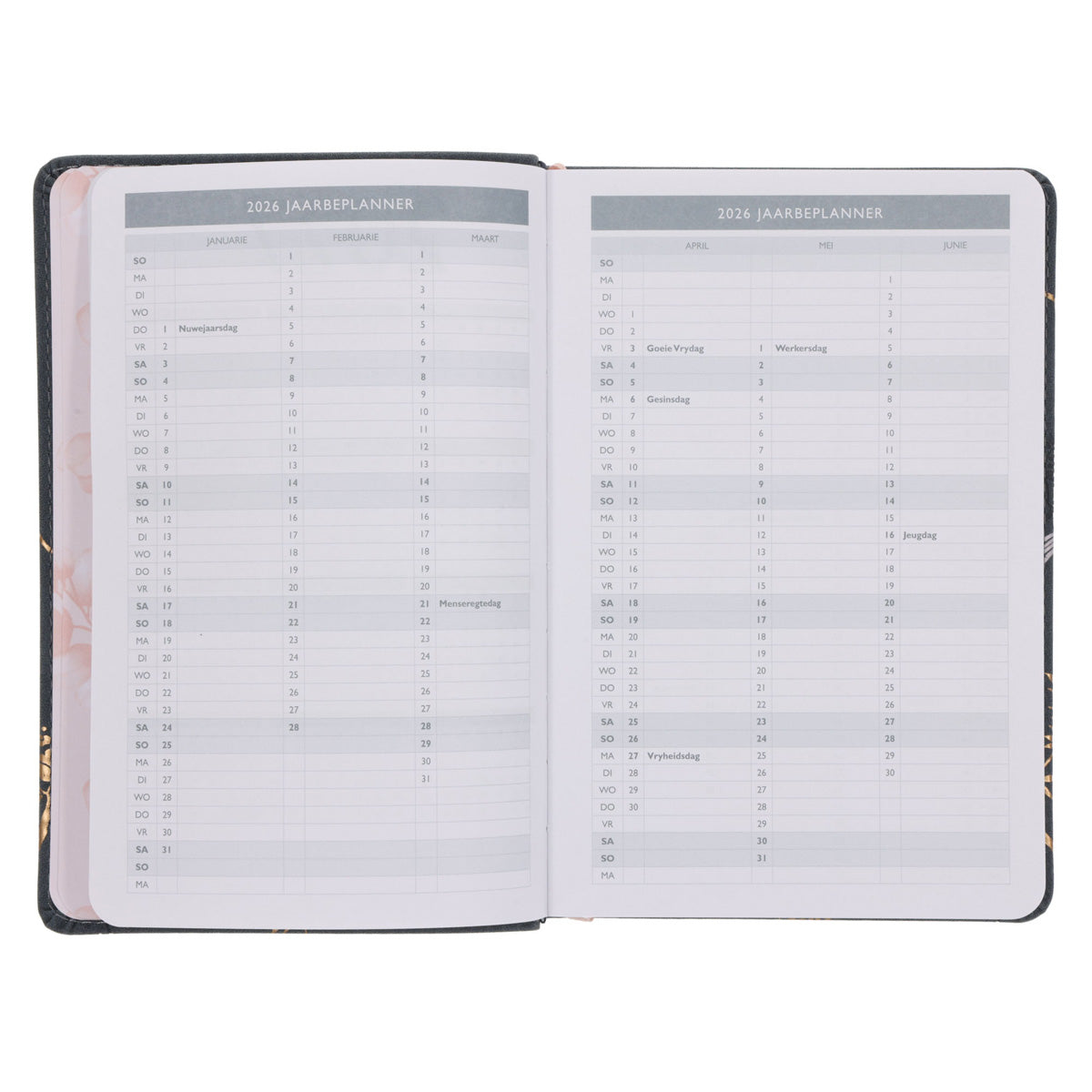 2026 Joyce Meyer Dagboek - Dagbeplanner - Kunsleer