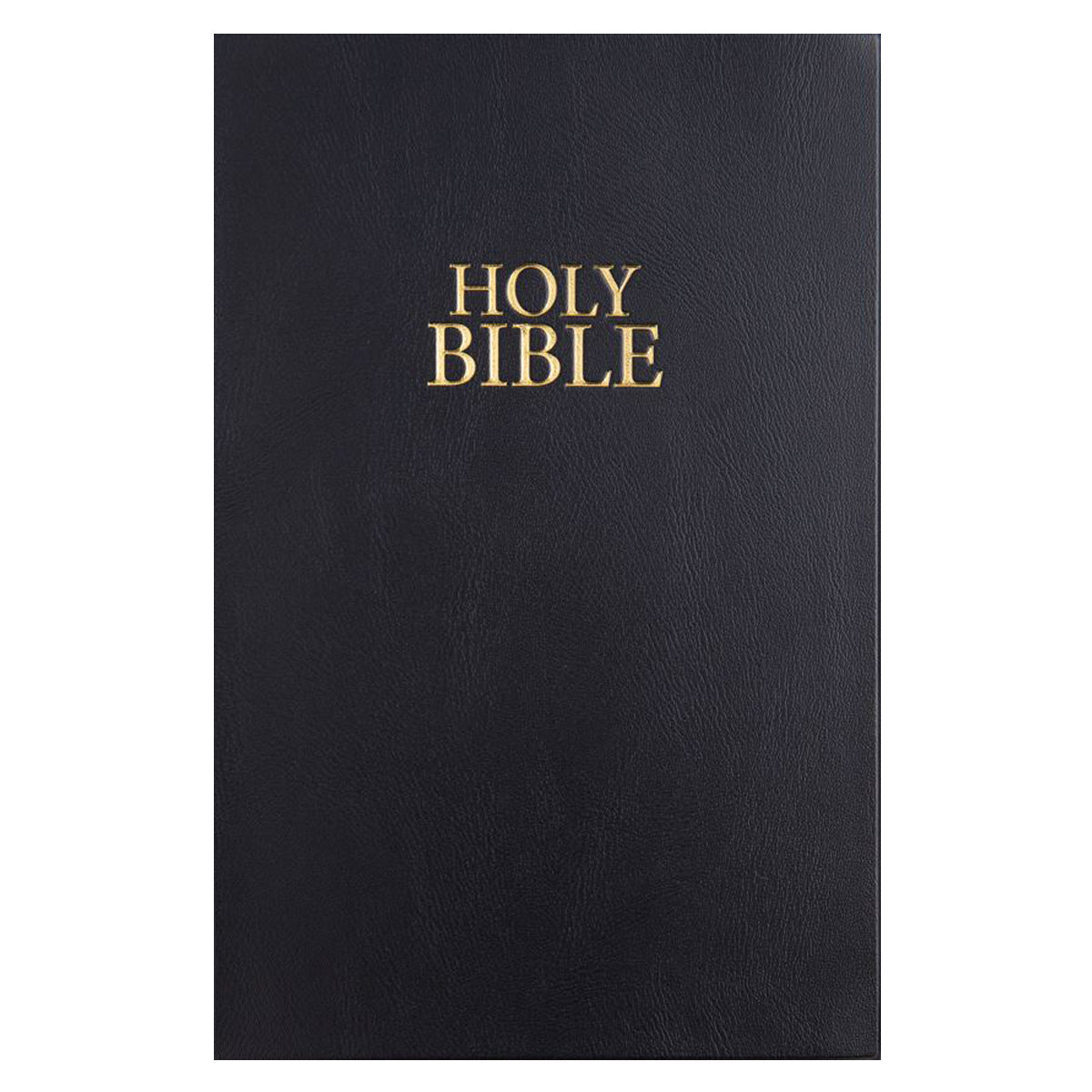 NIV Holy Bible, Flexcover, Vinyl, Black
