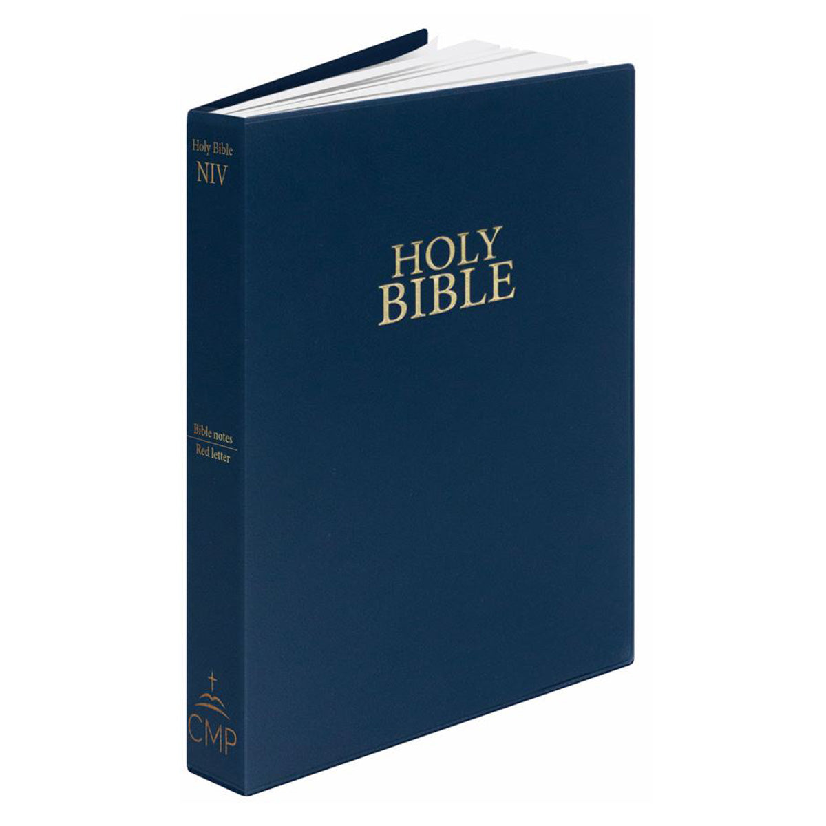 NIV Holy Bible, Flexcover, Vinyl, Navy