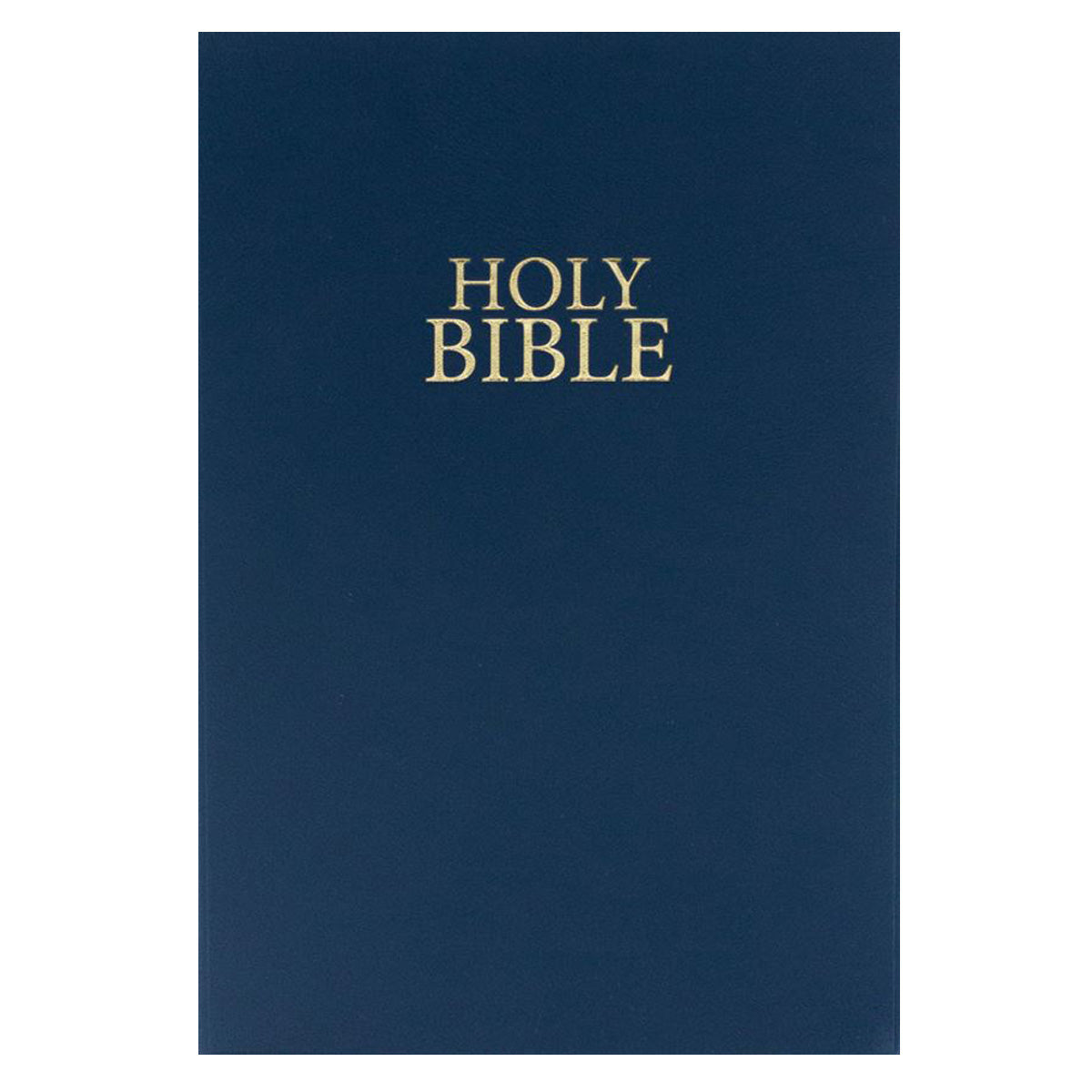 NIV Holy Bible, Flexcover, Vinyl, Navy