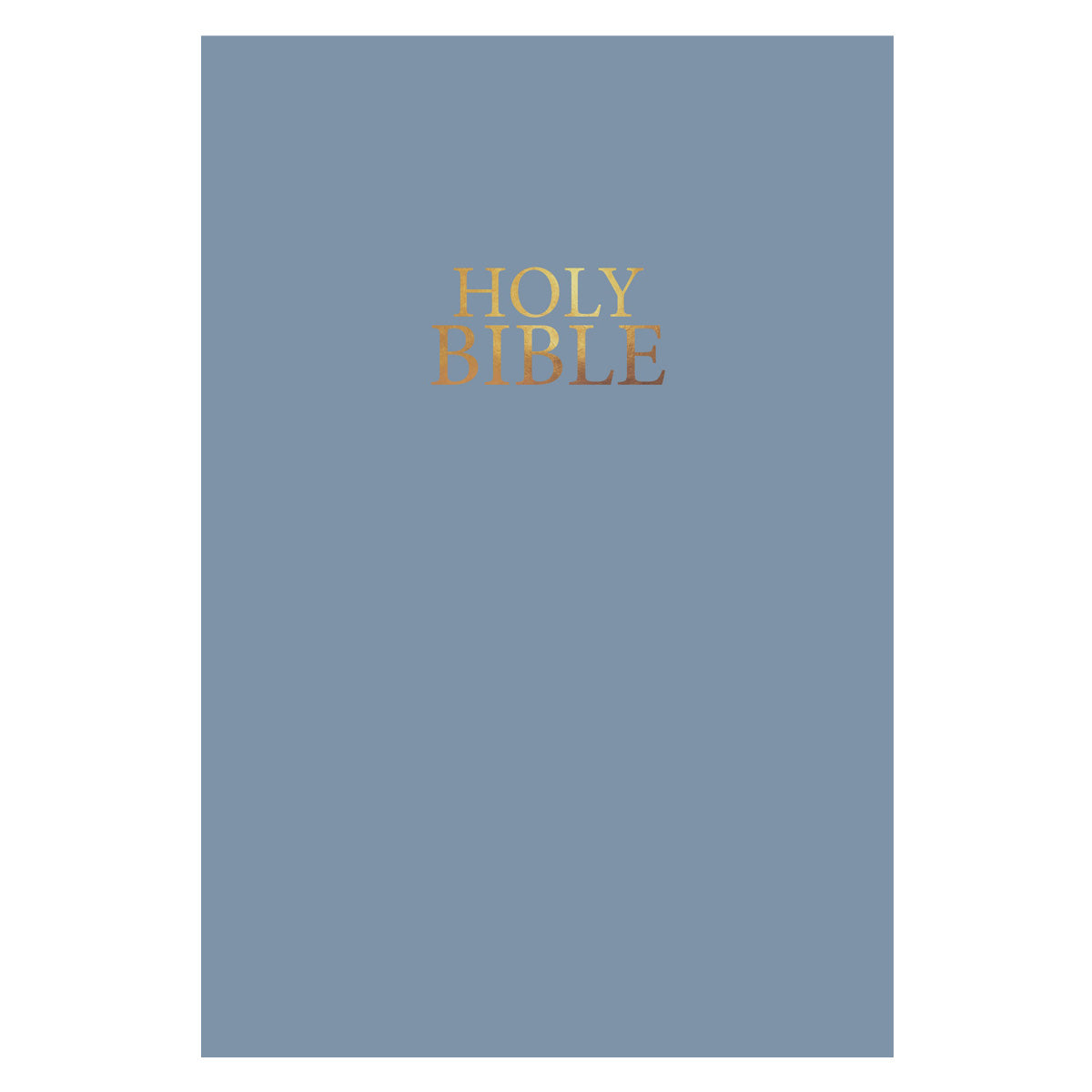 NIV Holy Bible, Flexcover, Vinyl, Blue