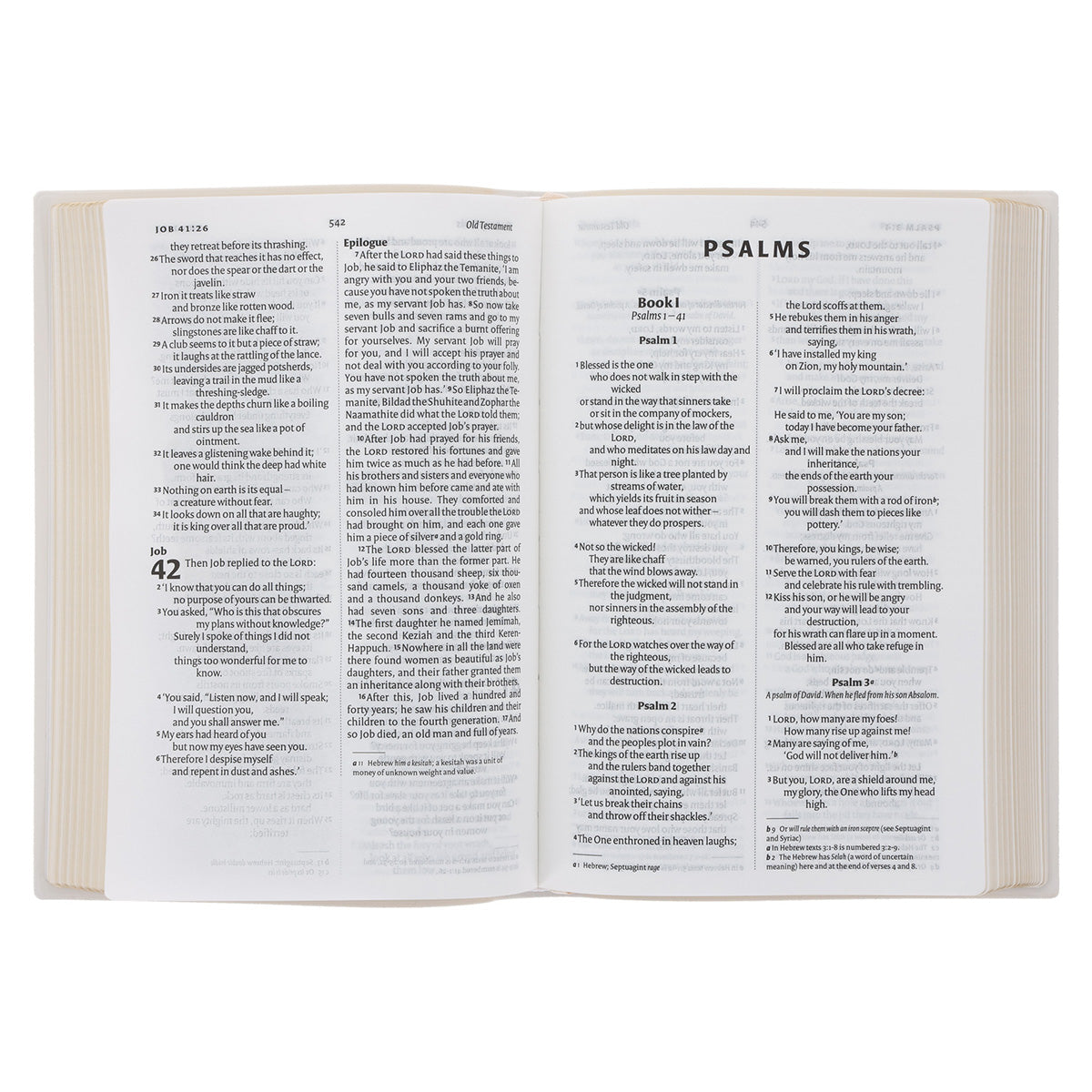 NIV Holy Bible, Luxury Gift Edition, Flexcover, Vinyl, White