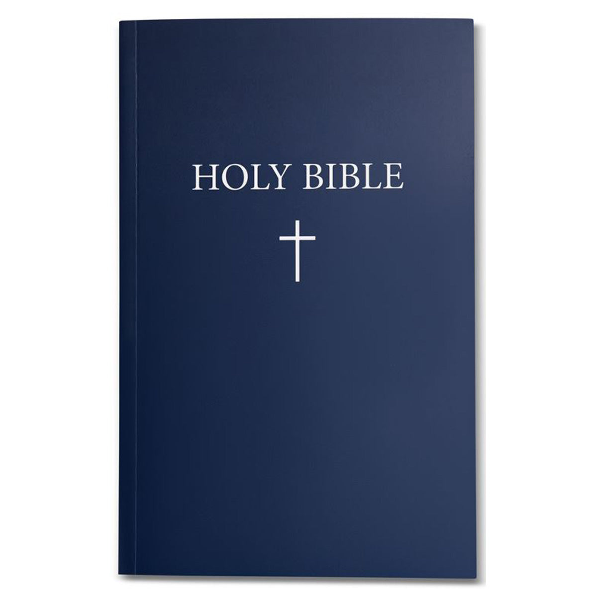 NIV Navy Paperbak Holy Bible