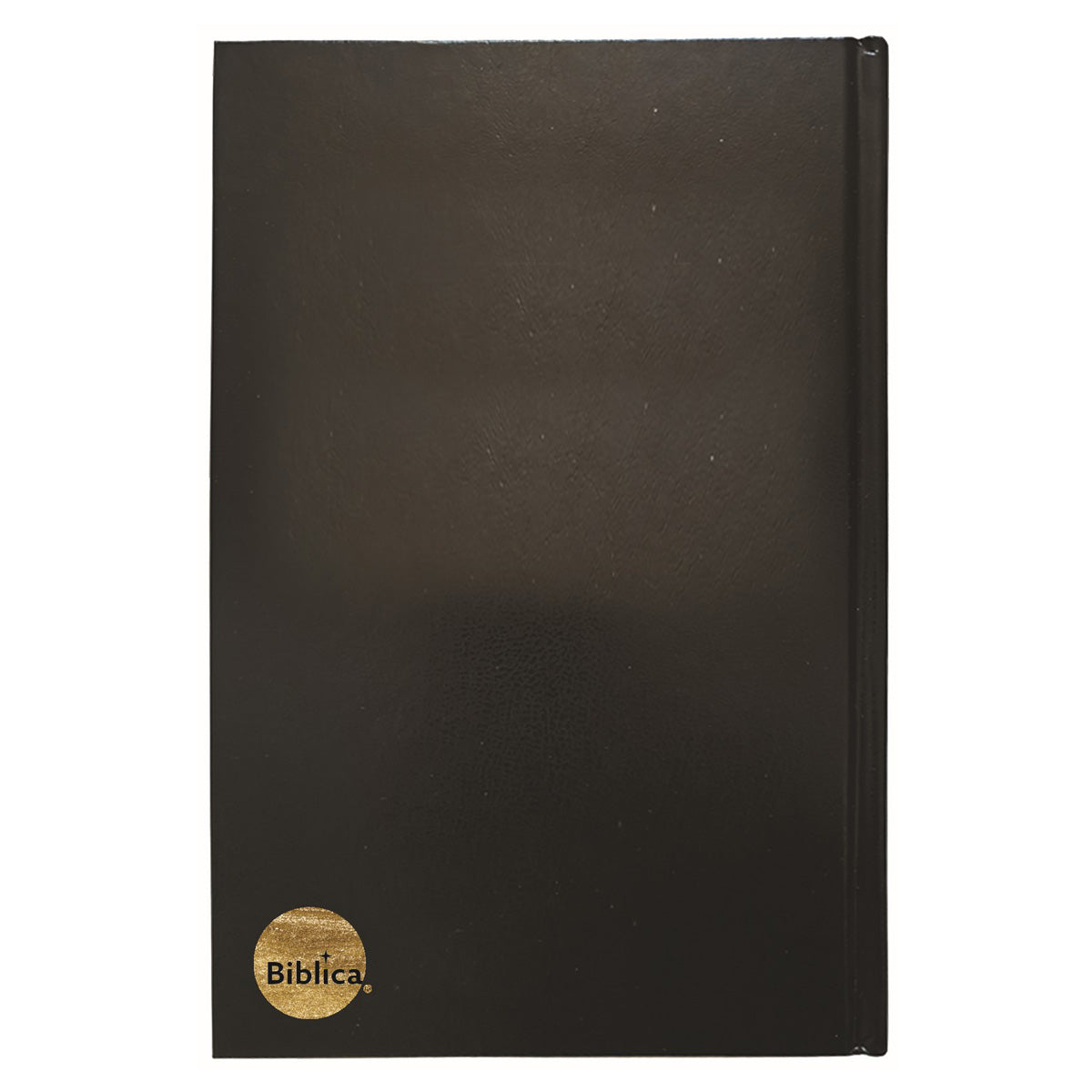 Ndebele 2011 Ibhayibhili Elingcwele Black Hardcover Bible