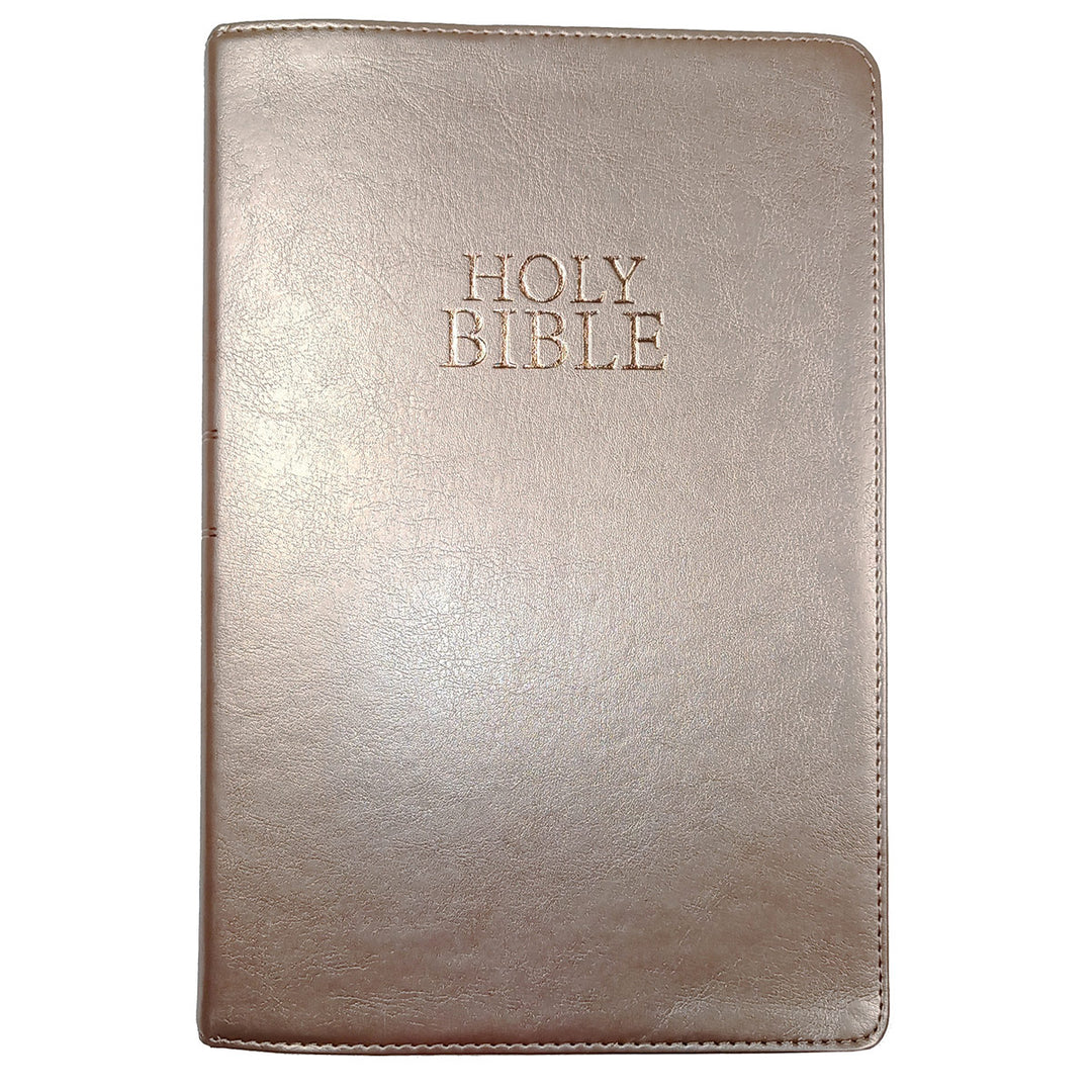 NIV Holy Bible Rose Gold Faux Leather Giant Print