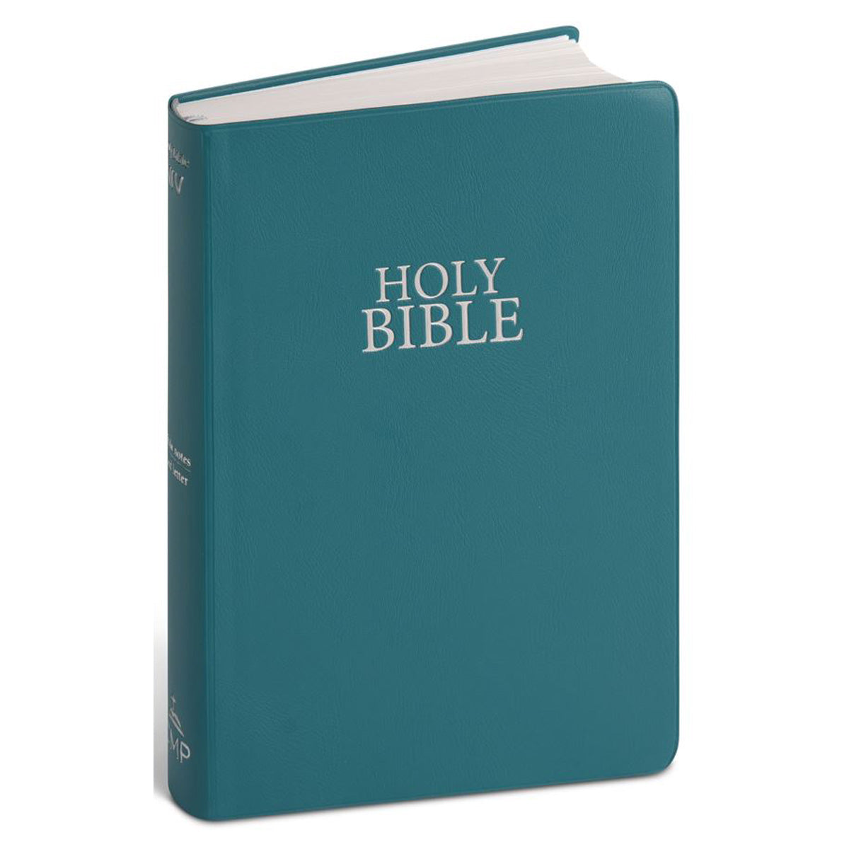 NIV Holy Bible, Flexcover, Vinyl, Teal