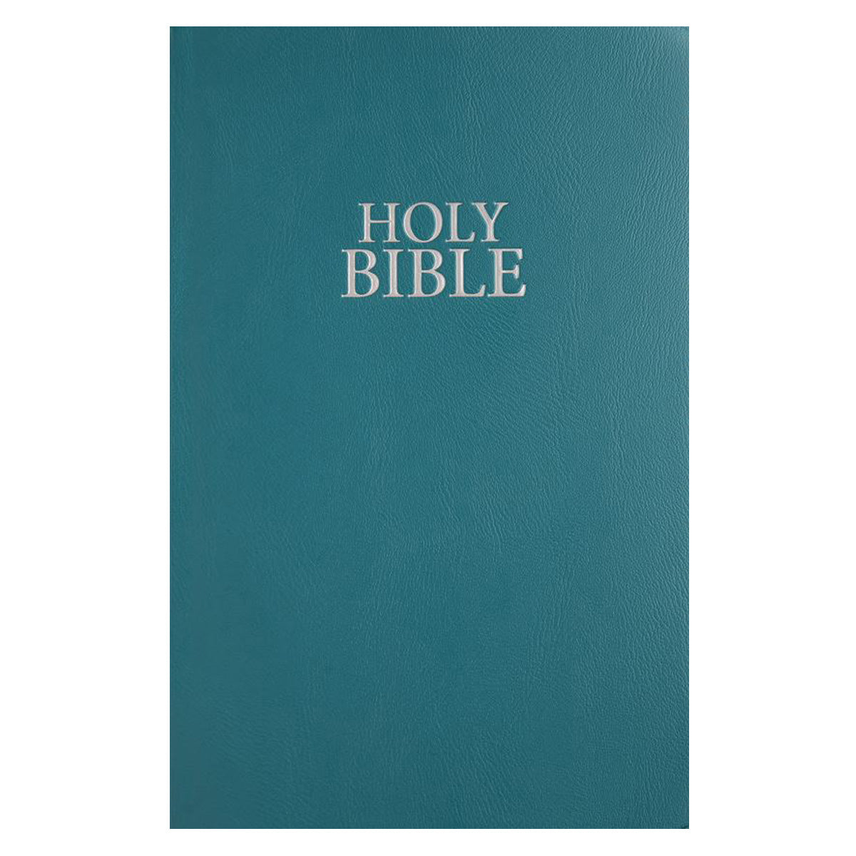 NIV Holy Bible, Flexcover, Vinyl, Teal