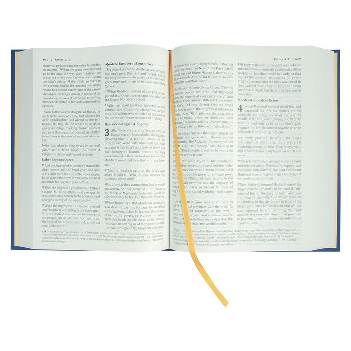 BSB Berean Study Bible Blue (Hardcover)