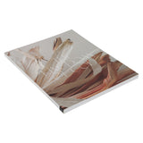 The Kingdom of God - Women's Reading Guide - She Reads Truth (Paperback)