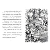 Shepherd - 2 Young David (Paperback)