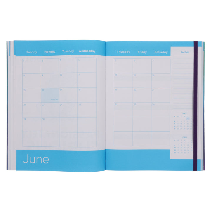 2025 Diary - Daily Planner - Evoke - Once You Have Tasted Flight - Flexcover