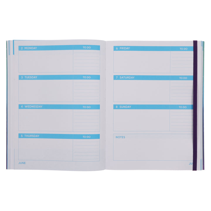 2025 Diary - Daily Planner - Evoke - Once You Have Tasted Flight - Flexcover