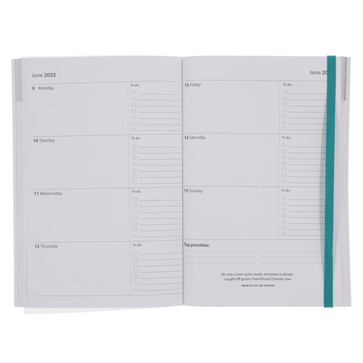 2025 A5 Diary - Daily Planner - Abstract David - Paperback